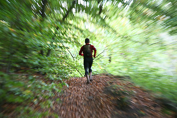 Image showing Man running in a forest