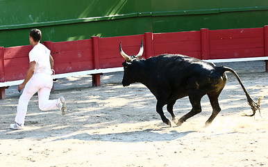 Image showing Corrida man abd bull