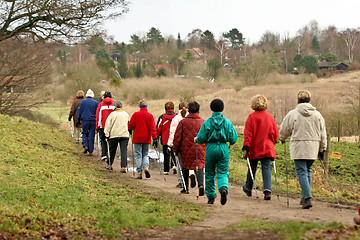 Image showing Nordic walk training with a group of people
