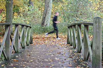 Image showing Man running on a path in the forest in denmark