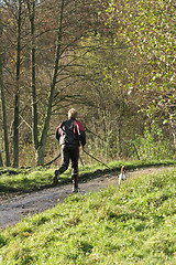 Image showing Man running in a forest