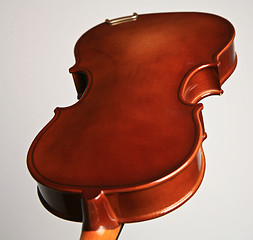 Image showing Violin