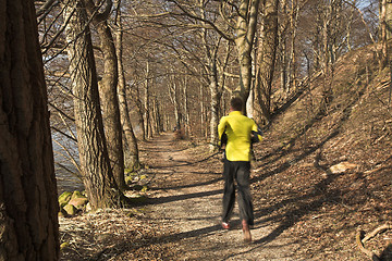 Image showing Man running in a forest