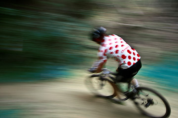 Image showing Mountain bike race