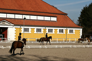 Image showing Danish horse farm with riders