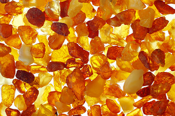 Image showing Amber