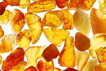 Image showing Amber