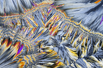 Image showing Microscopic view of sucrose crystals in polarized light