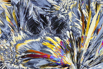 Image showing Microscopic view of sucrose crystals in polarized light