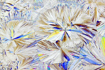 Image showing Microscopic view of sucrose crystals in polarized light