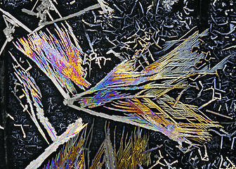 Image showing Microscopic view of potassium nitrate crystals in polarized ligh