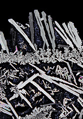 Image showing Microscopic view of potassium nitrate crystals in polarized ligh