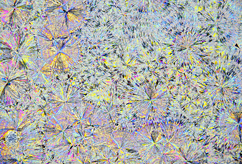 Image showing Microscopic view of citric acid crystals in polarized light