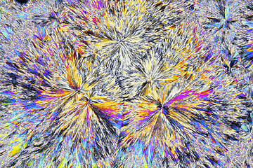 Image showing Microscopic view of citric acid crystals in polarized light