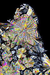 Image showing Microscopic view of citric acid crystals in polarized light