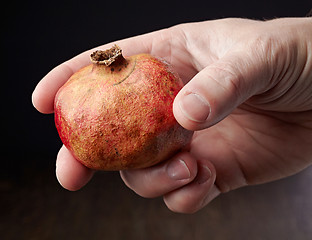 Image showing Pomegranate in a hand