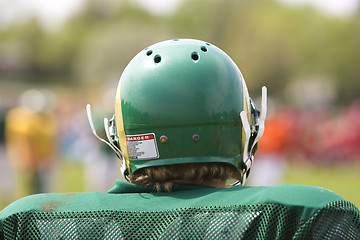 Image showing American football player