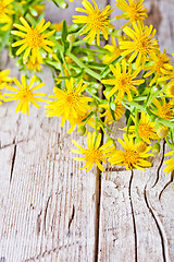 Image showing wild yellow flowers 