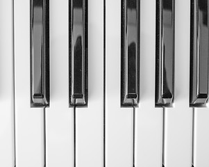 Image showing Music keyboard keys