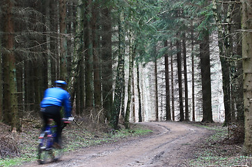 Image showing Mountain bike in a forest