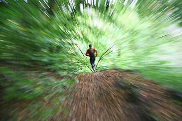 Image showing Man running in a forest