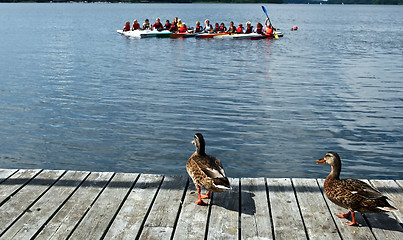 Image showing Duck looking at children on kayak