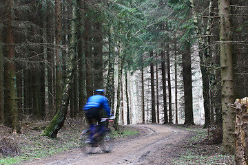 Image showing Mountain bike race