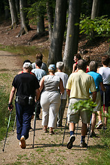 Image showing Nordic walk training with a group of people