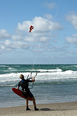 Image showing Kite surder in Denmark