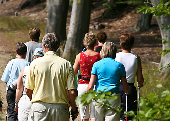 Image showing Nordic walk training with a group of people