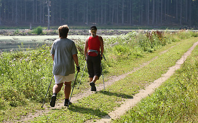 Image showing Nordic walk training with a group of people