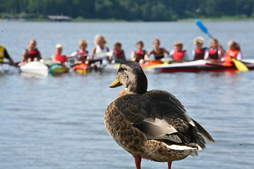 Image showing Duck looking at children on kayak