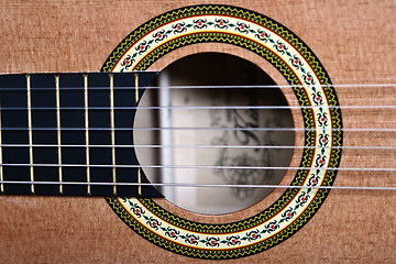 Image showing Guitar neck and body