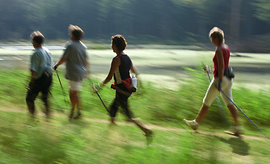 Image showing Nordic walk training with a group of people