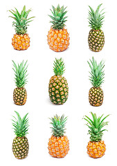 Image showing Pineapple