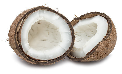 Image showing Coconut