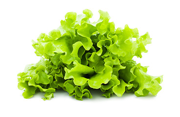 Image showing Lettuce