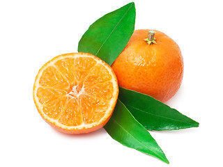 Image showing Tangerines