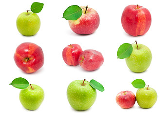 Image showing Apples