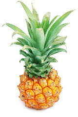 Image showing Pineapple