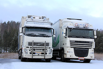 Image showing Volvo FH and DAF XF Trucks in Winter Snow