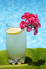 Image showing Summer Lemonade