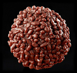 Image showing Chocolate praline macro