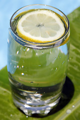 Image showing Summer Lemonade