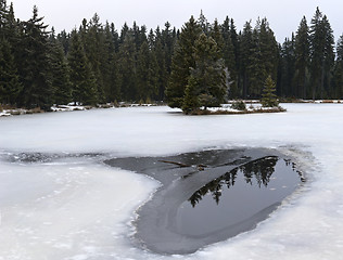 Image showing Pond and forest in winter