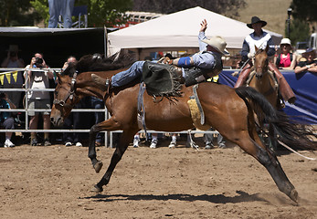 Image showing Rodeo Rider