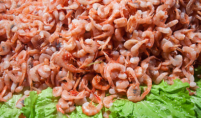 Image showing shrimps