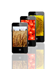 Image showing Modern mobile phones with different textures