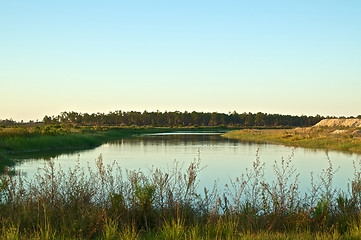 Image showing swampland pond in rural florida