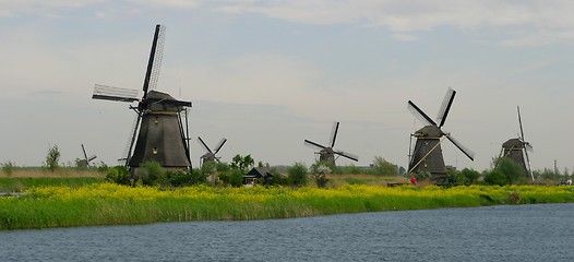 Image showing Dutch landscape of mills-panorama